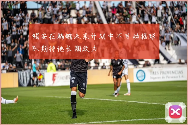 锡安在鹈鹕未来计划中不可动摇球队期待他长期效力